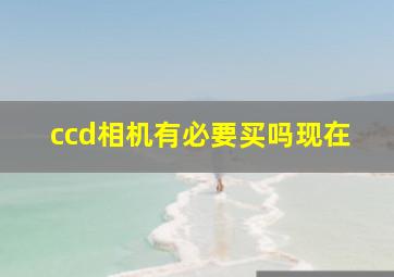 ccd相机有必要买吗现在