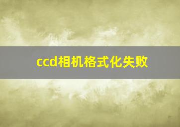 ccd相机格式化失败