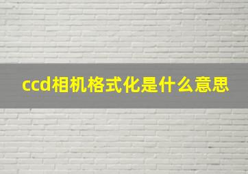 ccd相机格式化是什么意思