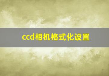 ccd相机格式化设置