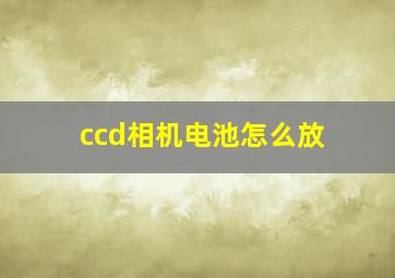 ccd相机电池怎么放