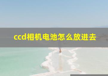 ccd相机电池怎么放进去