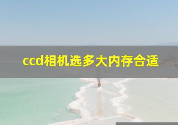 ccd相机选多大内存合适