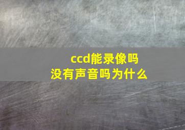 ccd能录像吗没有声音吗为什么