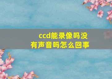 ccd能录像吗没有声音吗怎么回事