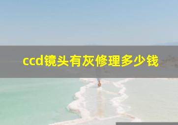 ccd镜头有灰修理多少钱