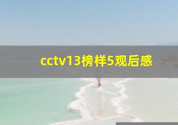 cctv13榜样5观后感