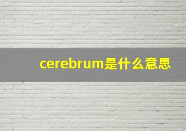 cerebrum是什么意思