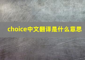 choice中文翻译是什么意思