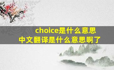 choice是什么意思中文翻译是什么意思啊了