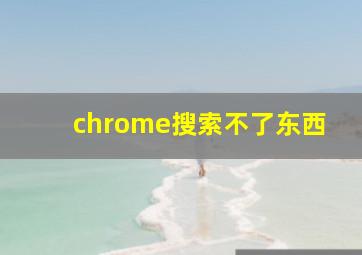 chrome搜索不了东西