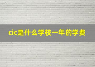 cic是什么学校一年的学费