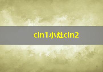 cin1小灶cin2