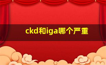 ckd和iga哪个严重