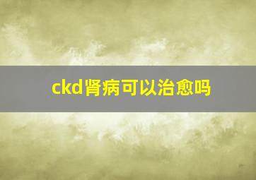 ckd肾病可以治愈吗