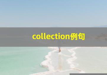 collection例句