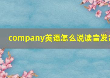 company英语怎么说读音发音