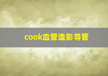 cook血管造影导管