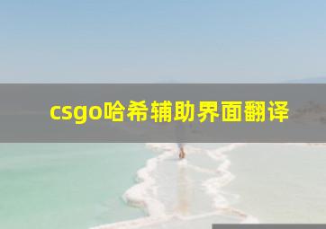 csgo哈希辅助界面翻译