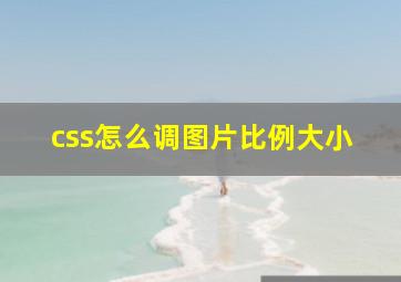 css怎么调图片比例大小