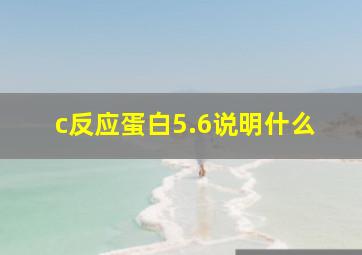 c反应蛋白5.6说明什么