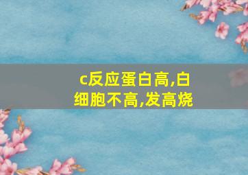 c反应蛋白高,白细胞不高,发高烧