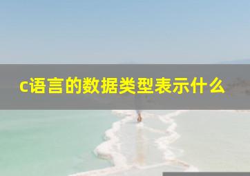 c语言的数据类型表示什么