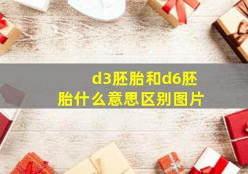 d3胚胎和d6胚胎什么意思区别图片