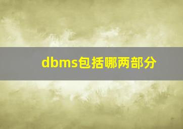 dbms包括哪两部分