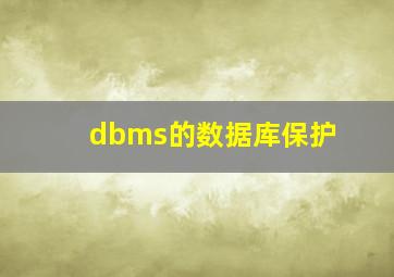 dbms的数据库保护