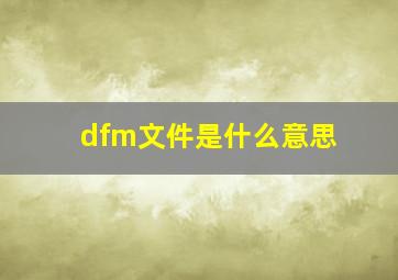 dfm文件是什么意思