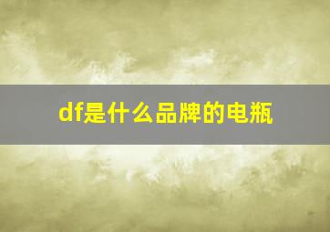 df是什么品牌的电瓶