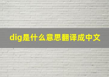 dig是什么意思翻译成中文