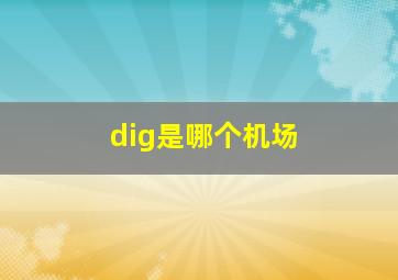 dig是哪个机场