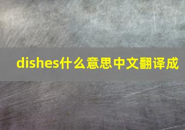 dishes什么意思中文翻译成