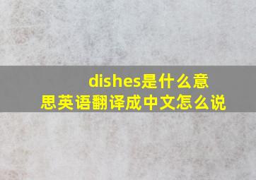 dishes是什么意思英语翻译成中文怎么说