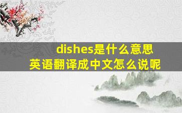 dishes是什么意思英语翻译成中文怎么说呢