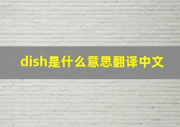 dish是什么意思翻译中文