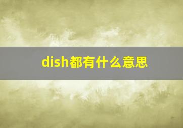 dish都有什么意思