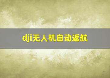 dji无人机自动返航