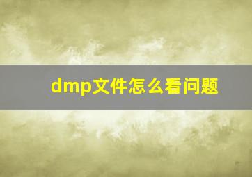 dmp文件怎么看问题