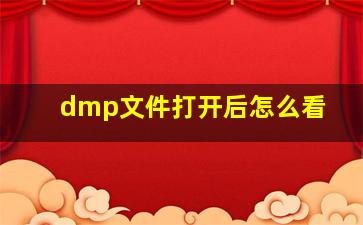 dmp文件打开后怎么看