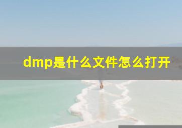 dmp是什么文件怎么打开