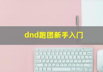 dnd跑团新手入门