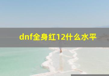 dnf全身红12什么水平