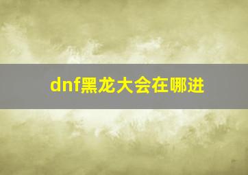 dnf黑龙大会在哪进