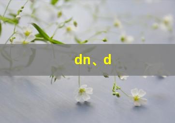 dn、d