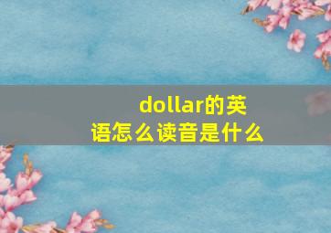 dollar的英语怎么读音是什么