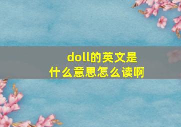 doll的英文是什么意思怎么读啊