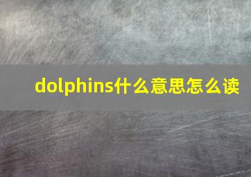 dolphins什么意思怎么读